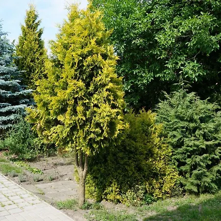 Apartamenty Z Klimatem Poznan Exterior photo