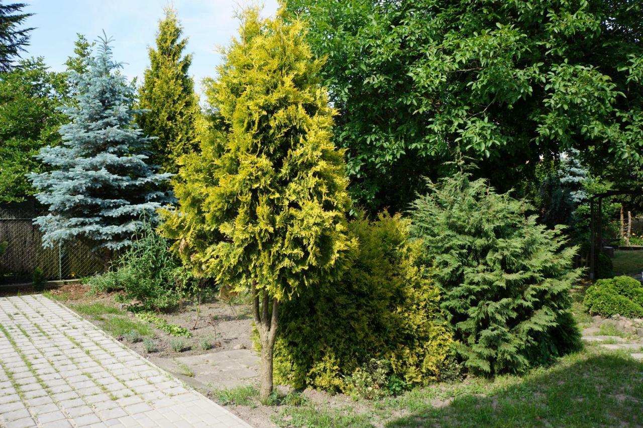 Z Klimatem Apartment Posen